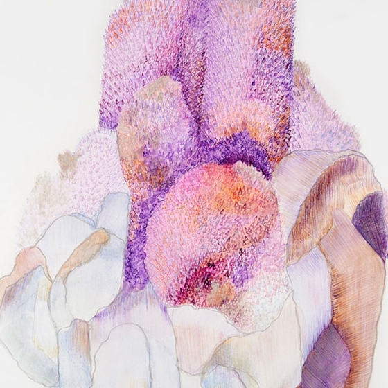 http://xvsjycc640.mirunadragan.com/files/gimgs/th-23_Erratics-Draw3-detail-web_v2.jpg